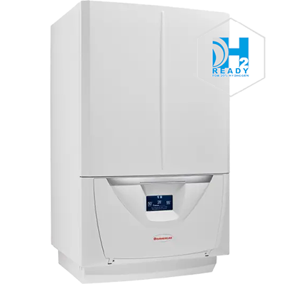 Logo caldera de gas Immergas